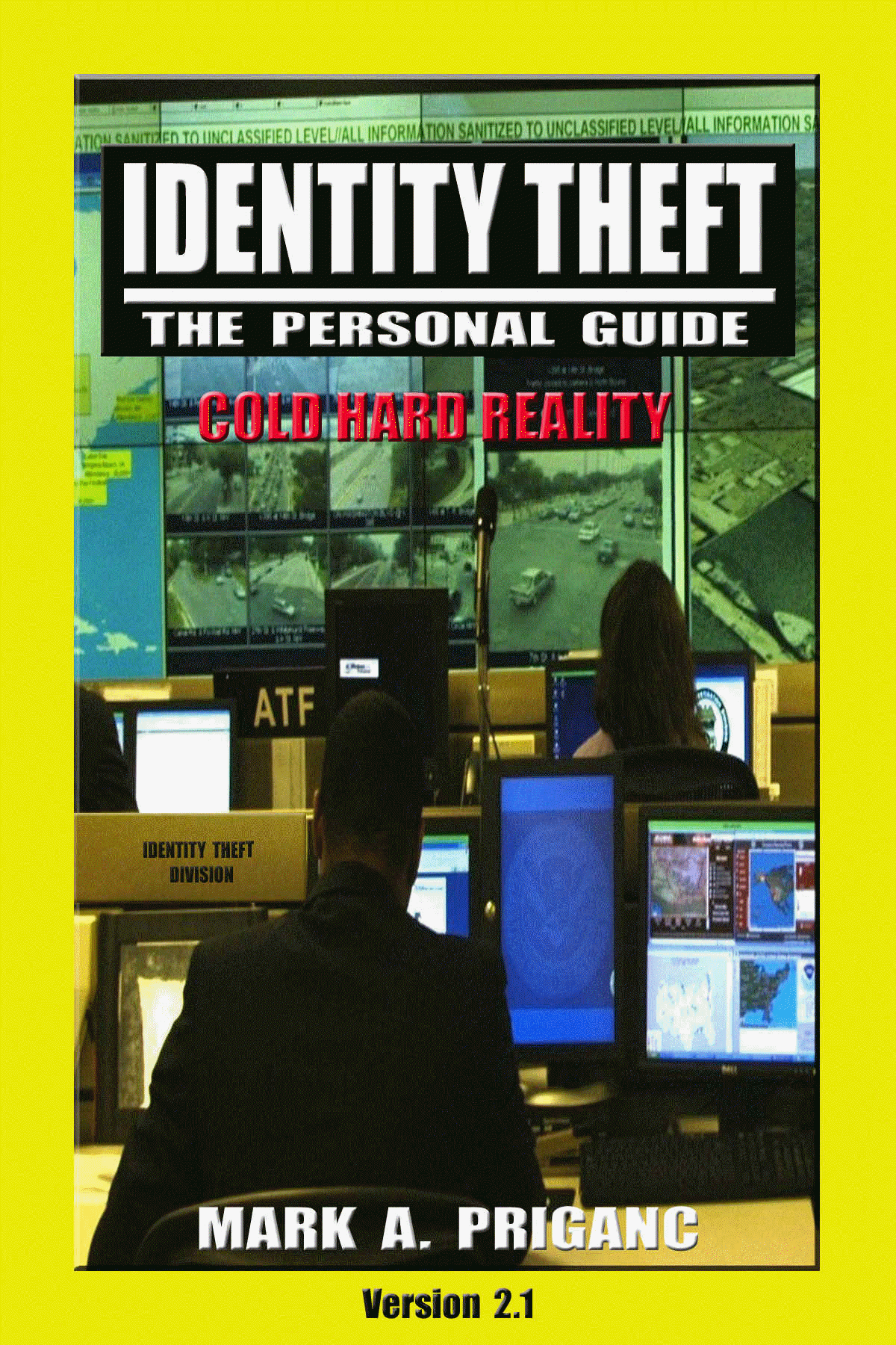 Identity_Theft_Book_Cover